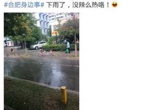 狂风暴雨爆料视频大全集,视频大全集深度解析